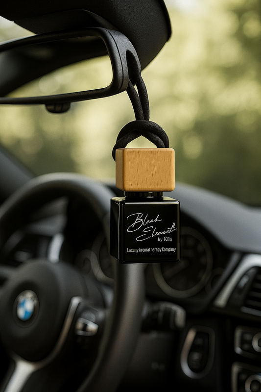 Luxury Car Diffuser Set